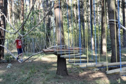 image11